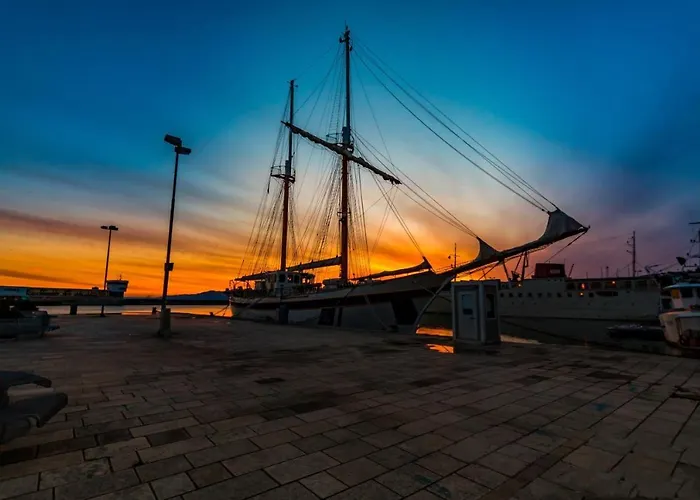 Barbis *